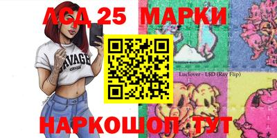 скорость Кандалакша