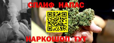 МДПВ Канаш