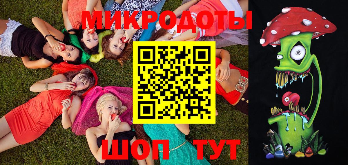 Галлюциногенные грибы Psilocybe  Вход с VPN  Лесной 